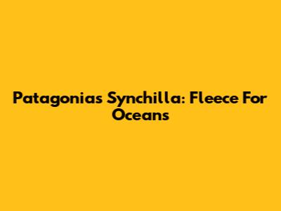 Patagonia's Synchilla: Fleece For Oceans