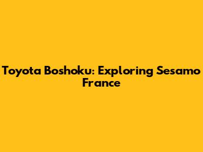 Toyota Boshoku: Exploring Sesamo France